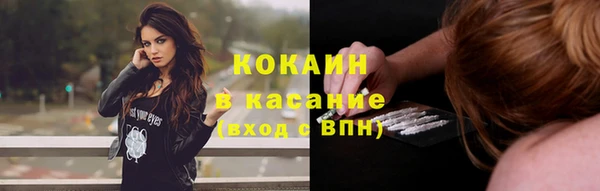 дмт Карпинск