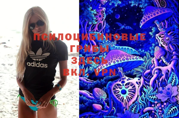 дмт Карпинск