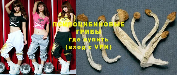 бошки Касимов