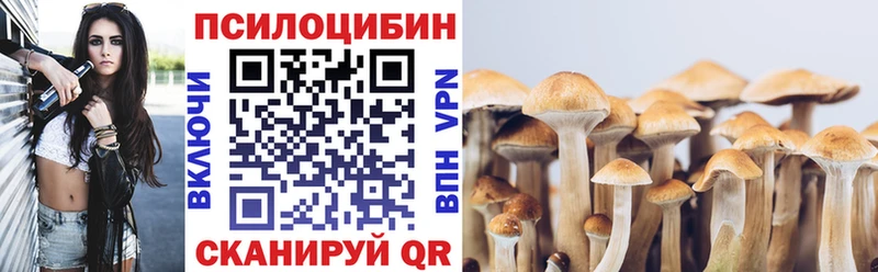 Галлюциногенные грибы MAGIC MUSHROOMS  ОМГ ОМГ вход  Элиста 