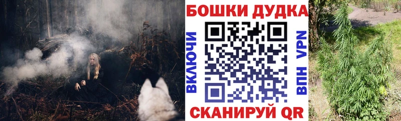 Марихуана план  Элиста 